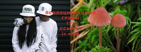 не бодяженный Алексин