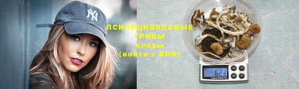 не бодяженный Алексин