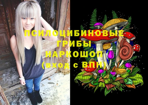 соль ск Алзамай